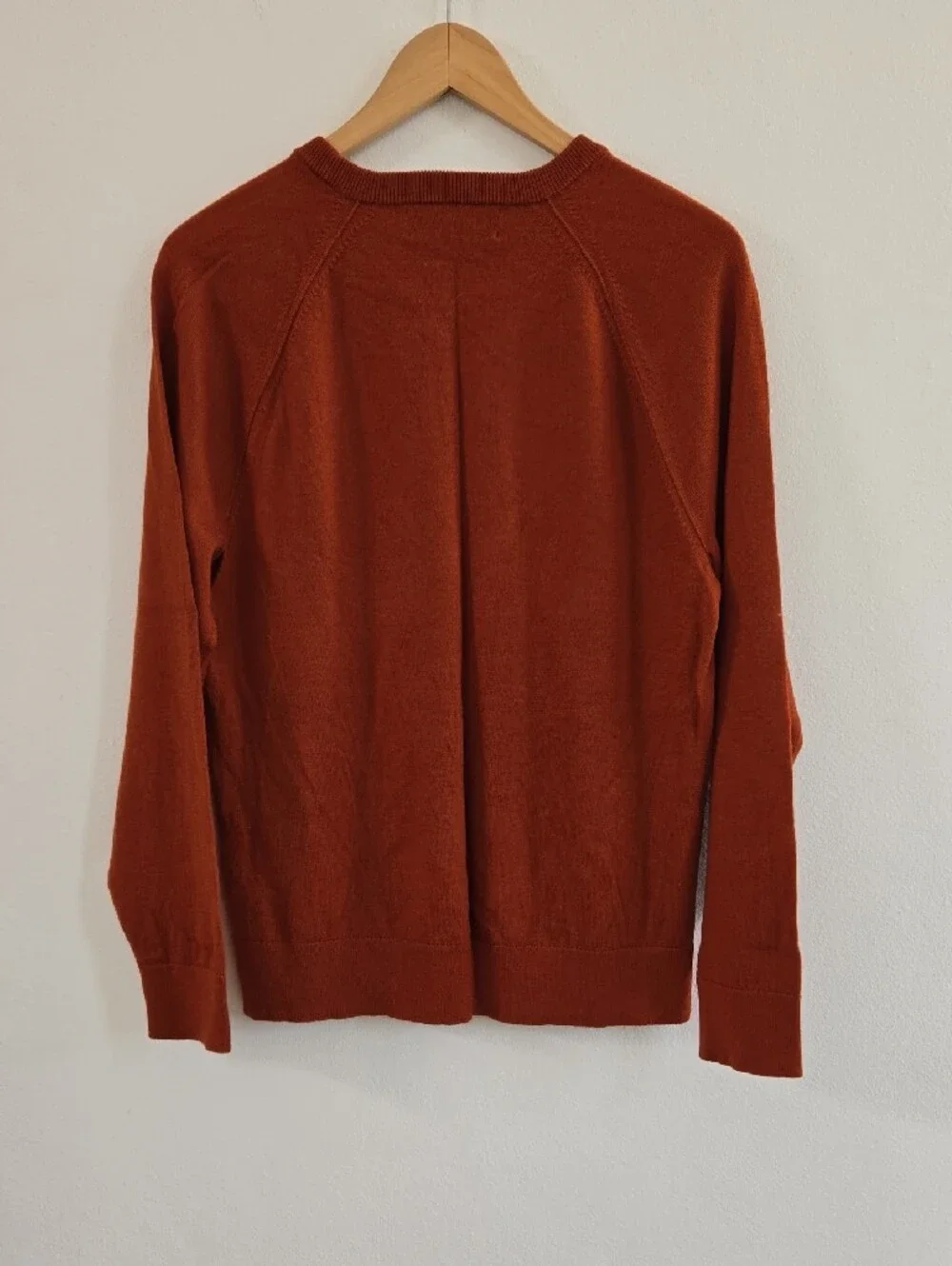 Banana Republic Baruffa Mariono Wool Men's Crewneck Sweater - Burnt Orange Size